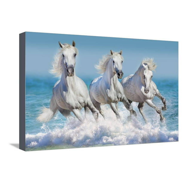 Country Kitchen 12x18 Framed Gallery Wrapped Stretched Canvas Horse on White 